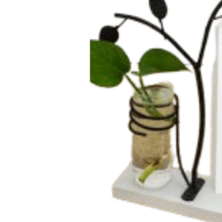 Wooden photo framesBeautiful modern factory customized wooden picture photo frame Green plants