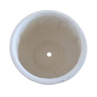 Pots and Vases BD-T-033