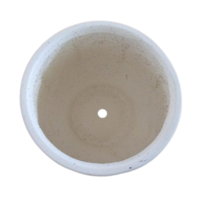 Pots and Vases BD-T-033
